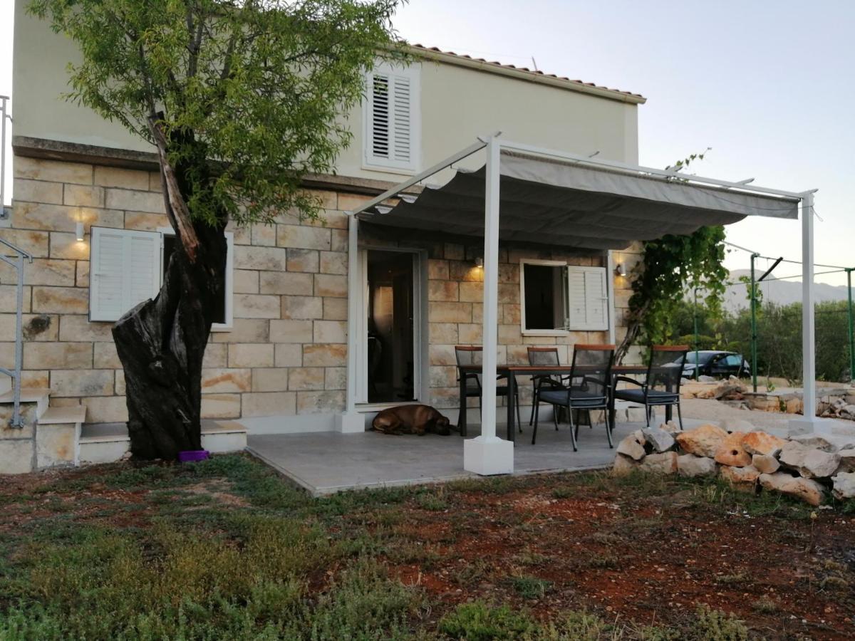 Olive Grove House Lumbarda Villa Exteriör bild